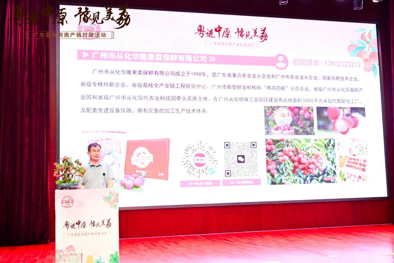 广东名牌农产品_广东荔枝河南市场推广_粤进中原荔枝产销对接活动
