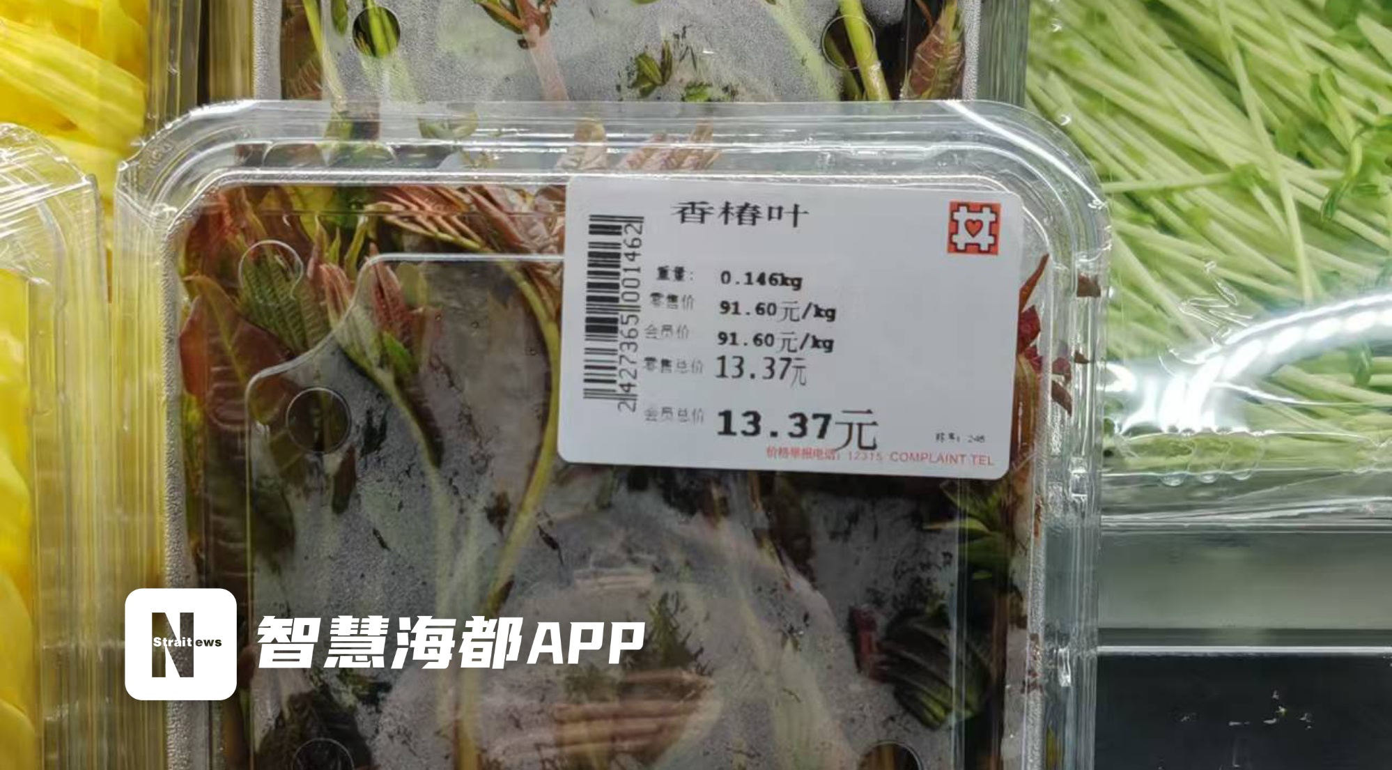 福州农产品批发市场_福州春菜价格下降_香椿价格下调
