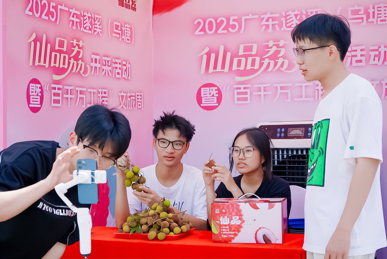 广东遂溪仙品荔营销_乌塘镇荔枝产业升级_广东名牌农产品
