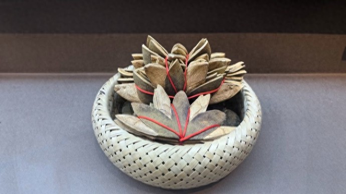 千年化橘红种植历史_化橘红中药材功效_广东名牌农产品