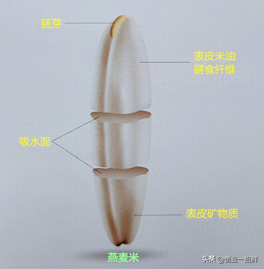 农产品产地初加工项目_粗粮深加工新技术_全谷物横切技术