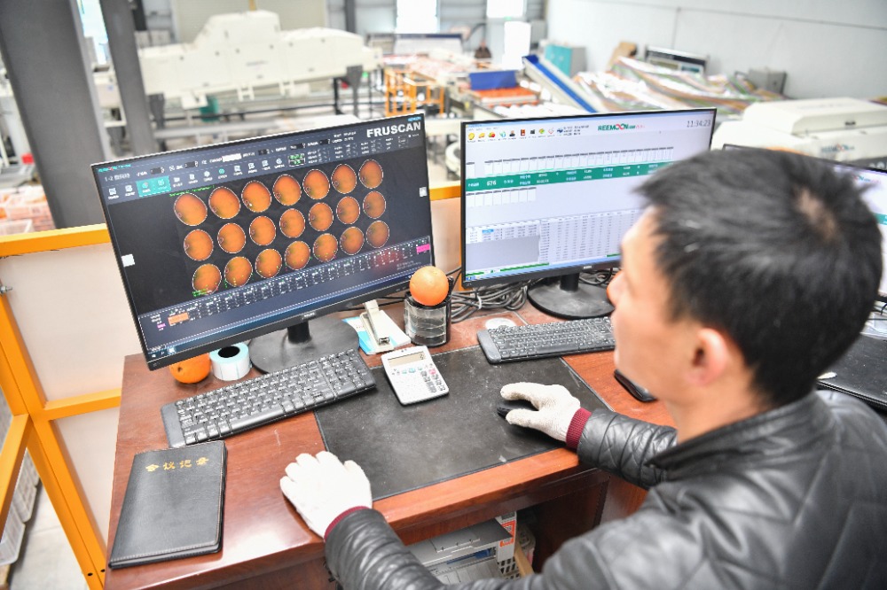 重庆特色农产品_城口香菇出口新加坡_重庆农产品出口增长