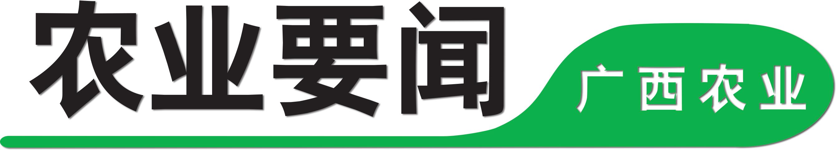 特色农产品品牌_广西农业品牌故事_香山鸡嘴荔枝品牌建设