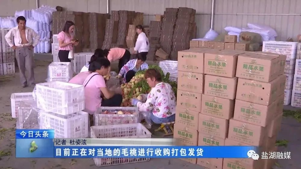 运城苹果杯电商果品销售大赛_山西农产品电子商务_山西扶上电子商务有限公司助农模式