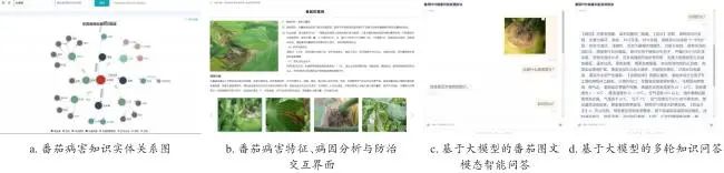 食用农产品监管总结_特色农产品品质调控_计算机视觉技术
