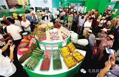 屯昌美食名吃评选_海南农产品物价_屯昌农博会特色农产品