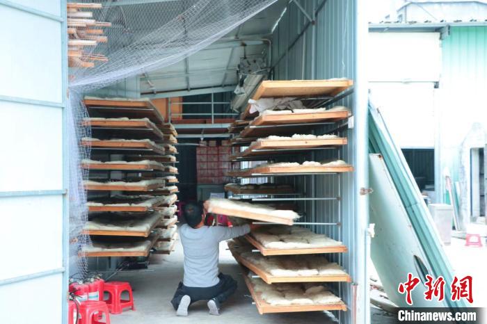 福建诏安霞葛富硒米粉制作工艺_溪东村富硒米粉厂发展历程_富硒农产品 福建