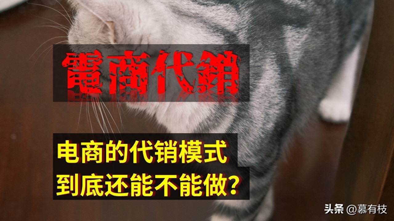 农产品代销合同_代销税务风险_电商代销模式