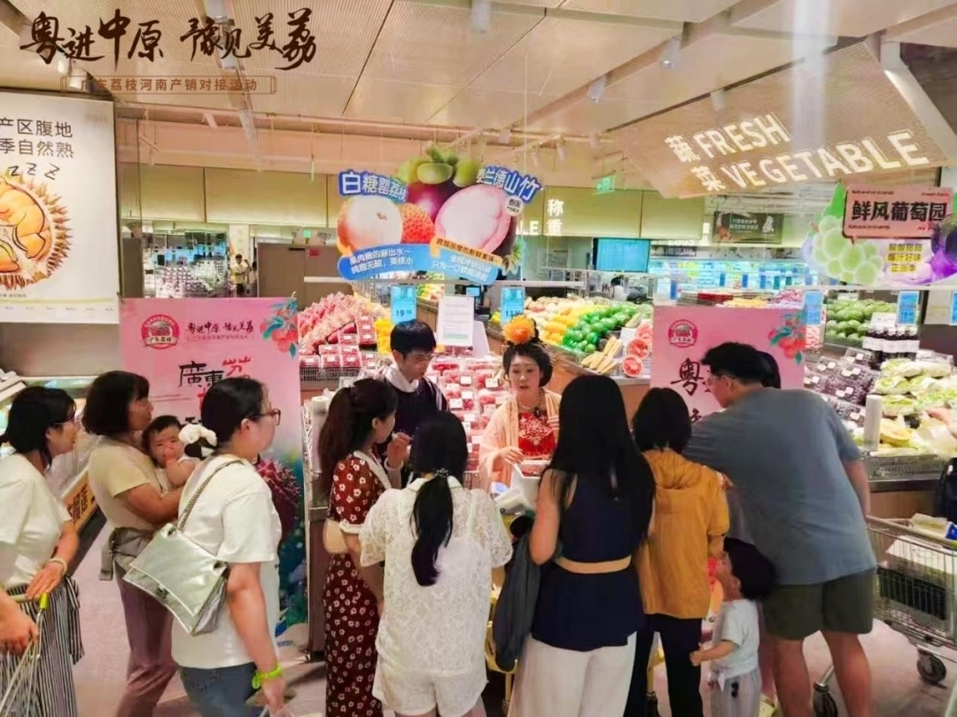 粤豫荔枝产业合作_广东农产品排名_广东荔枝河南产销对接活动