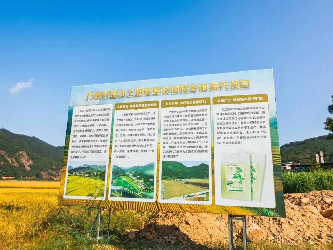 万前村140亩富硒大米_富硒农产品 福建_郑墩镇富硒水稻收割