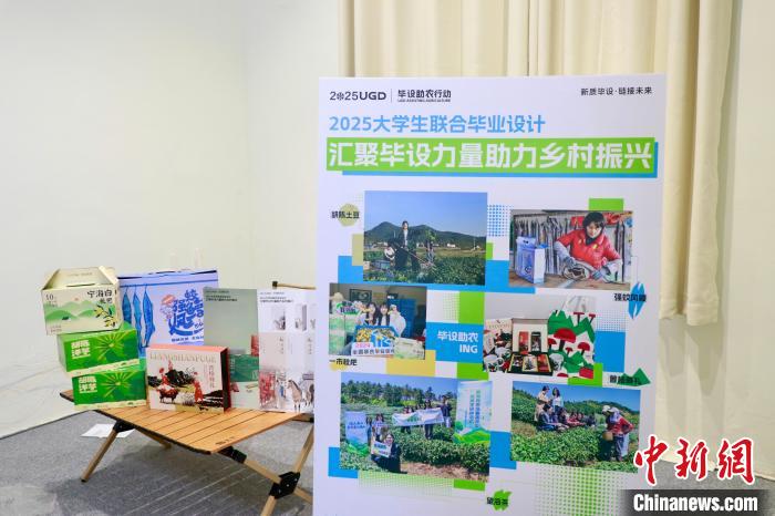大学生设计包装 洋芋俏模样 宁海县毕设助农_农产品包装设计