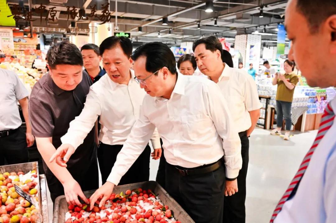 粤豫荔枝合作_广东荔枝河南产销对接活动_广东农产品排名