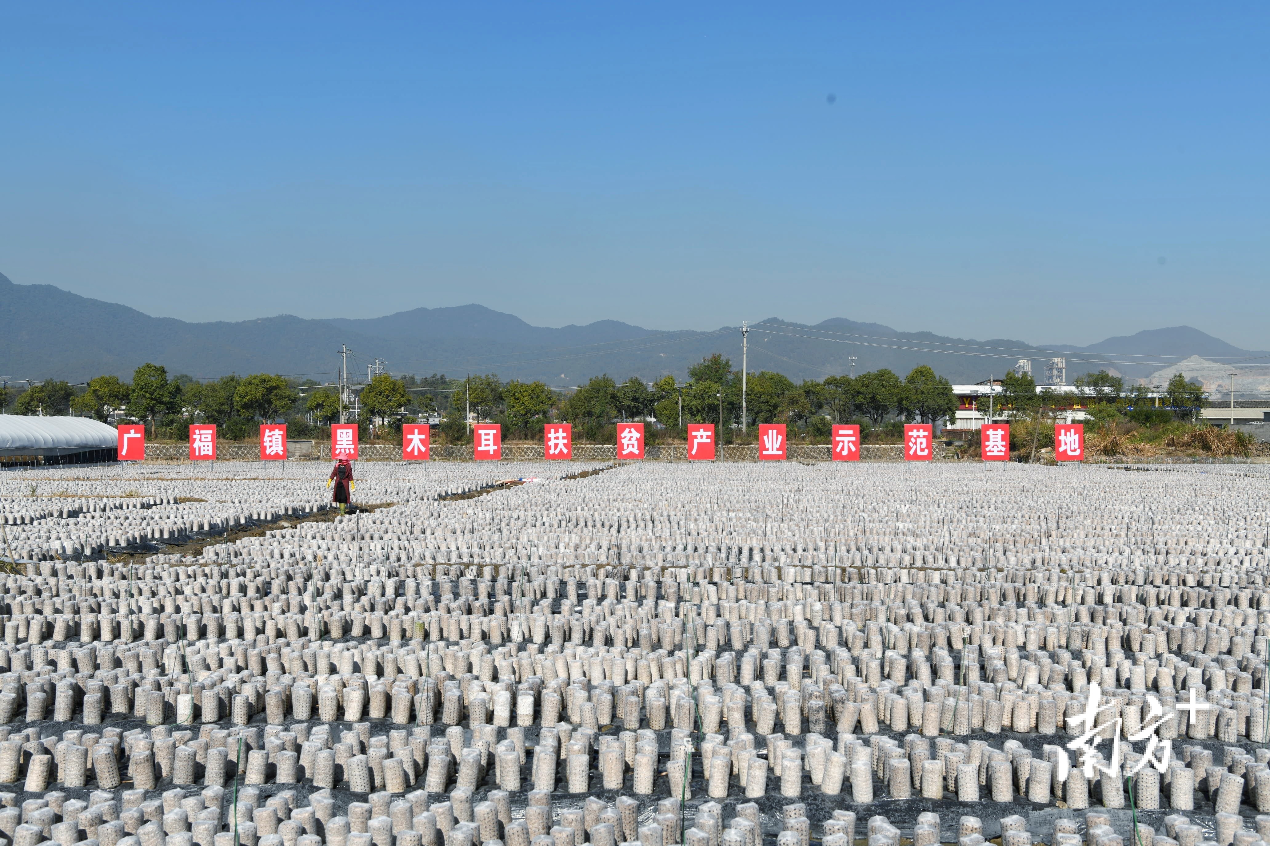 梅州市南方长寿生物科技有限公司_粤港澳大湾区“菜篮子”生产基地_广东梅州农产品信息