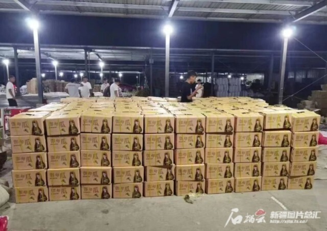 新疆快递量千吨级鲜果_轮台小白杏快递量2800余吨_新疆库尔勒农产品