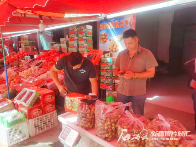轮台小白杏快递量2800余吨_新疆库尔勒农产品_新疆快递量千吨级鲜果