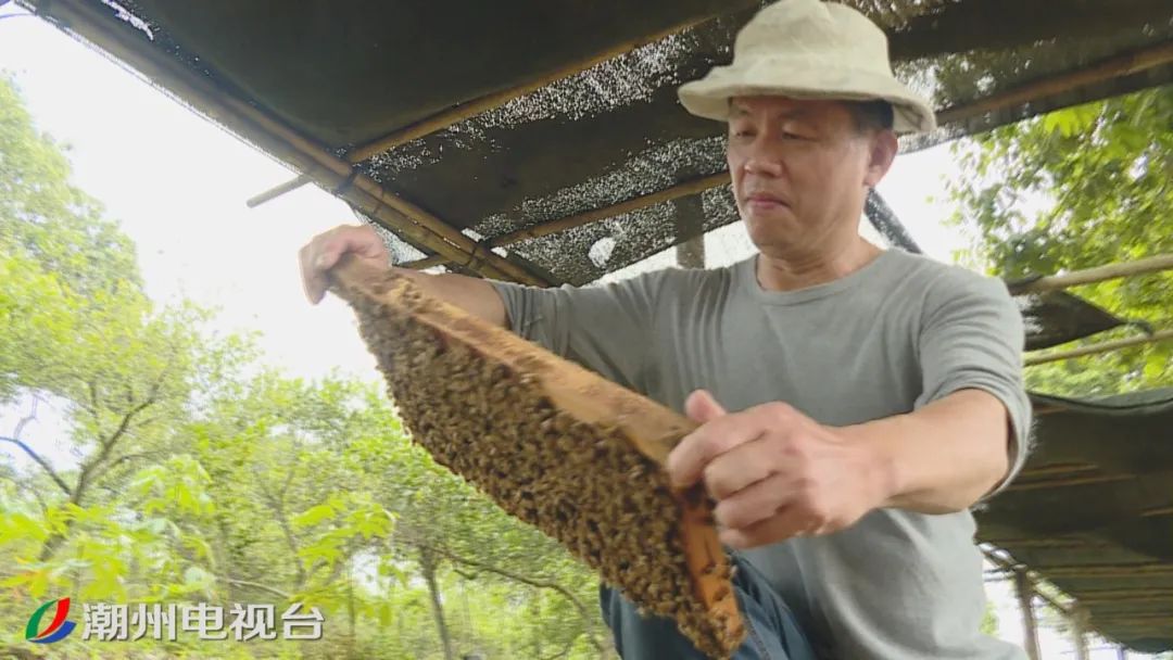 樟溪镇英粉村电商扶贫_农产品线上线下_英粉村蜂蜜滞销解决方案