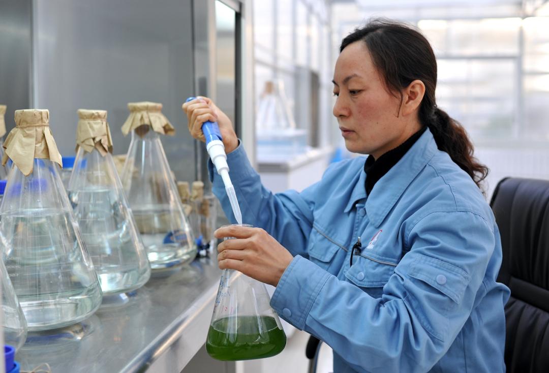 农产品现货投资家具m菌货投资_微生物能源开发技术_微生物农业产业链延长