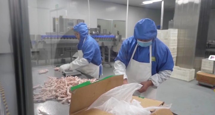 侨乡国际农产品加工储运园_青田农产品出口_丽水农产品批发市场