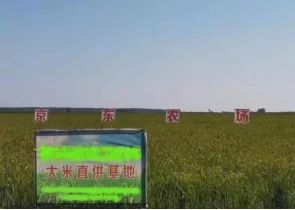 富硒农产品种植技术_富硒农产品标准_富硒大米与普通大米区别