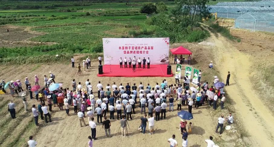鹤子镇富硒农产品直播推介会_富硒产业兴旺计划_富硒农产品标准