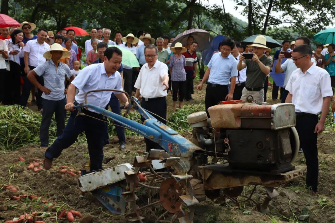 鹤子镇富硒农产品直播推介会_富硒农产品标准_富硒产业兴旺计划