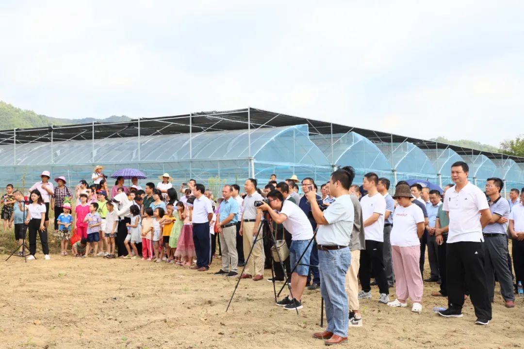 鹤子镇富硒农产品直播推介会_富硒农产品标准_富硒产业兴旺计划