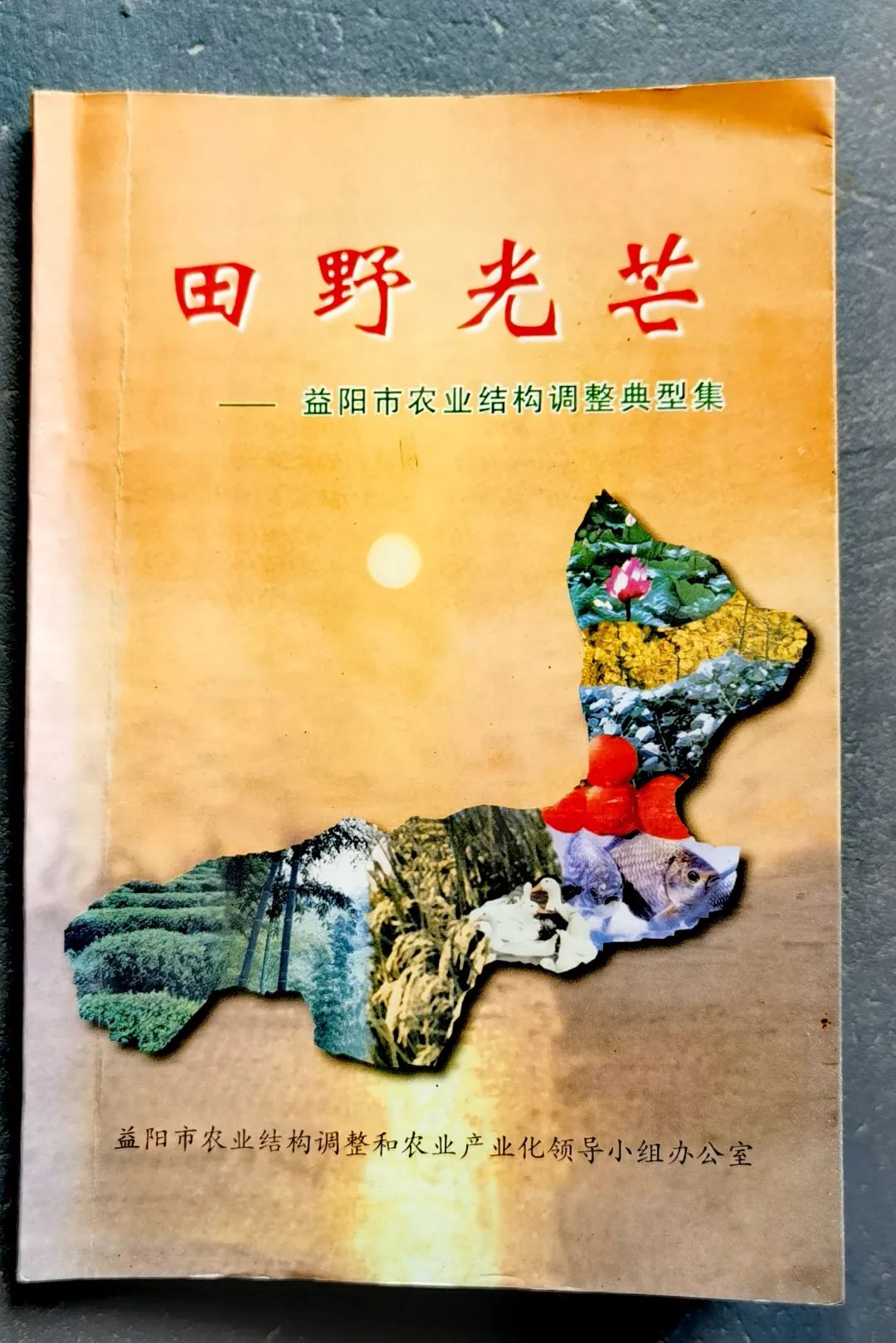 益阳茶叶产业发展_益阳农业结构调整_湖南益阳的特色农产品