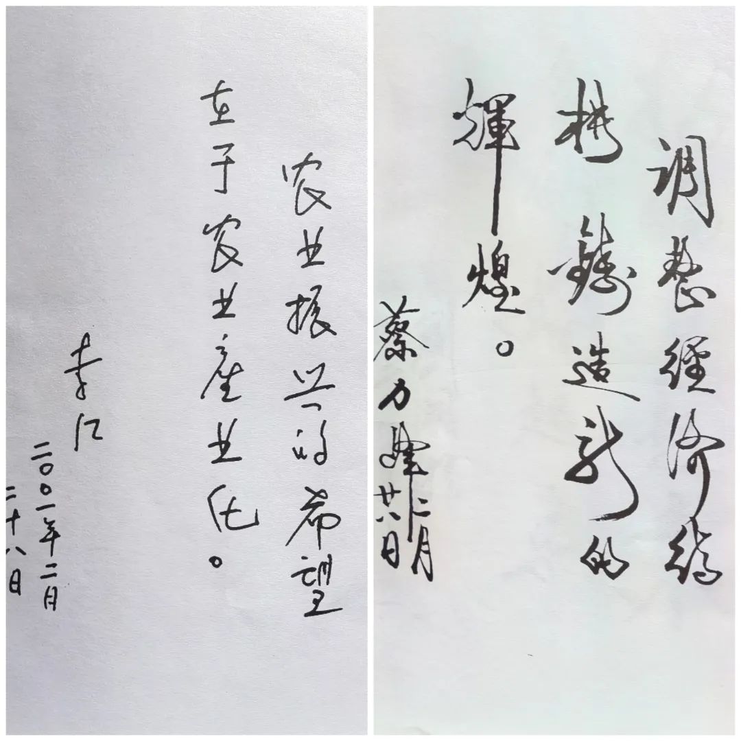 益阳农业结构调整_湖南益阳的特色农产品_益阳茶叶产业发展