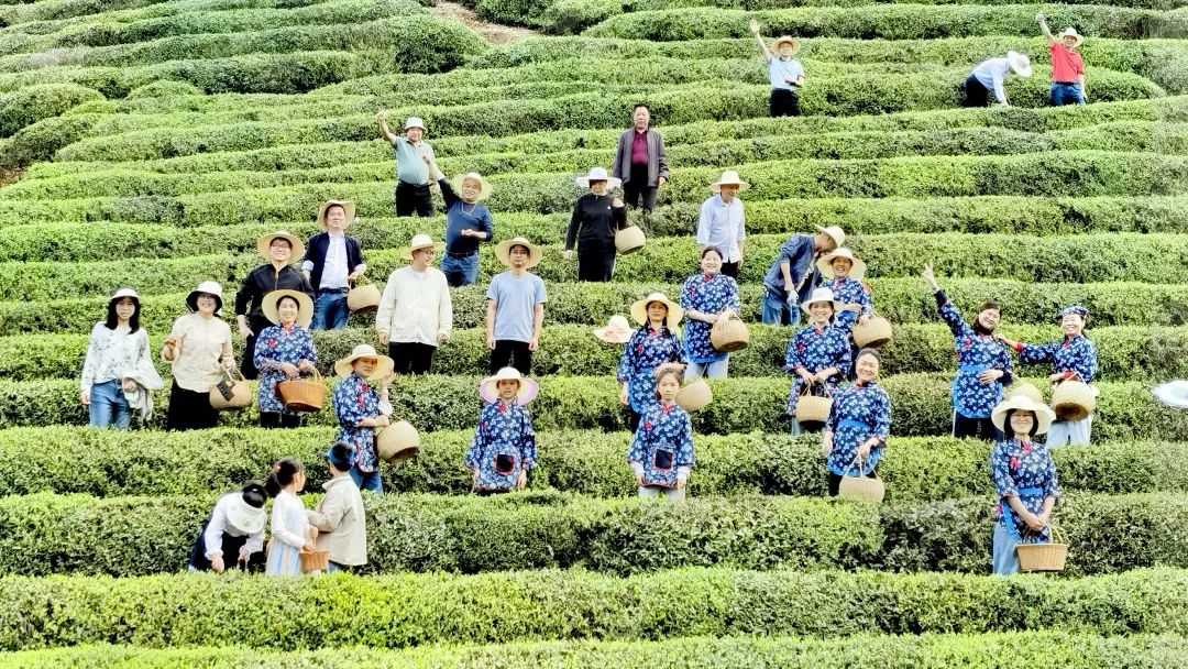 湖南益阳的特色农产品_益阳农业结构调整_益阳茶叶产业发展