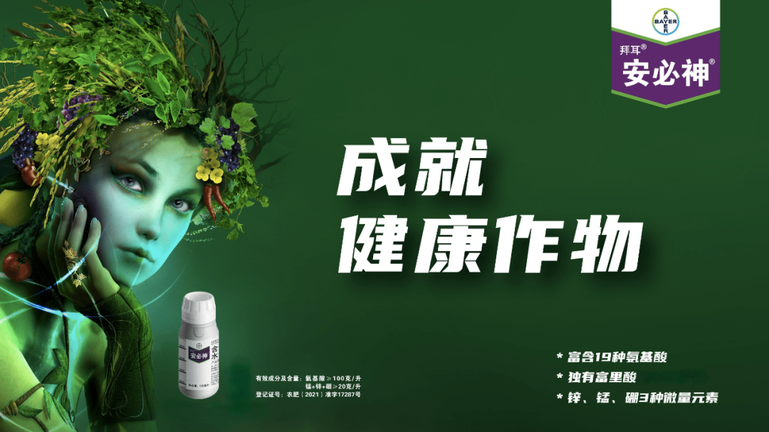 巴西对华农产品出口增长_中巴农业合作前景_巴西农产品