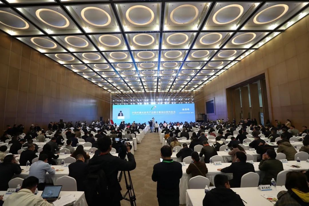第二十二届中国安徽名优农产品上海展会开幕，亮点多多
