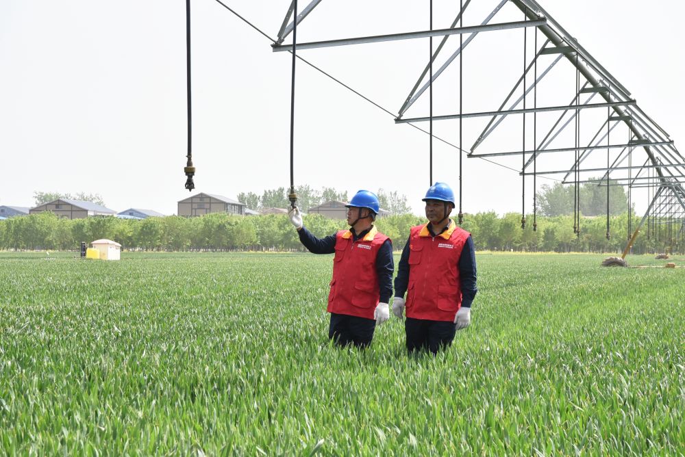 河南粮食安全战略_中原国际农产品物流_中原农谷种业创新