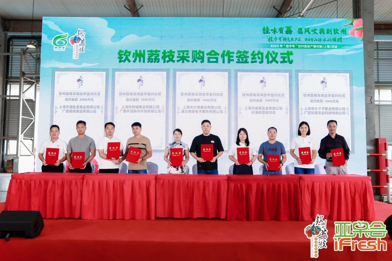 钦州荔枝产销对接活动 __2025中国东盟农产品