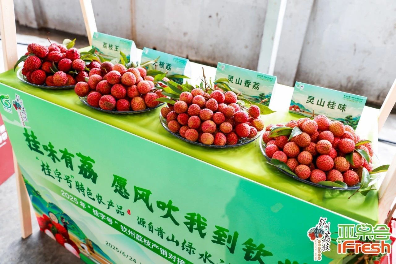 _ 钦州荔枝产销对接活动 _2025中国东盟农产品