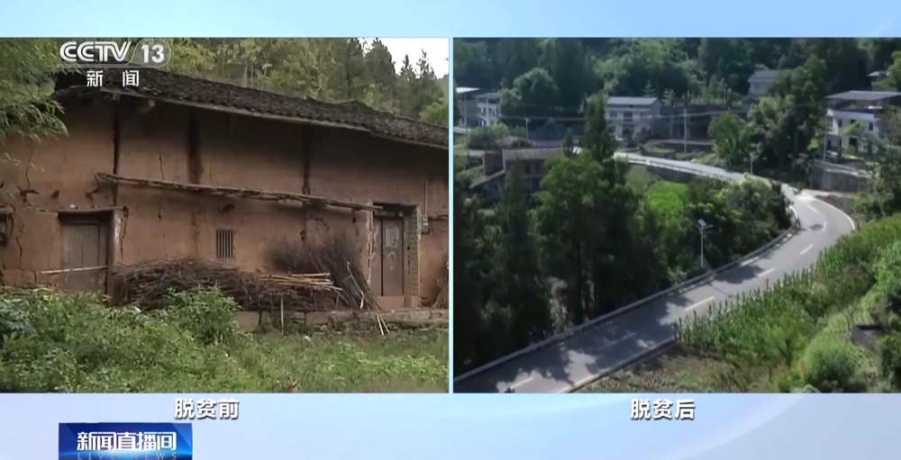 产业扶贫农产品卖难_巫山脆李种植管理技巧_重庆脆李产业链发展