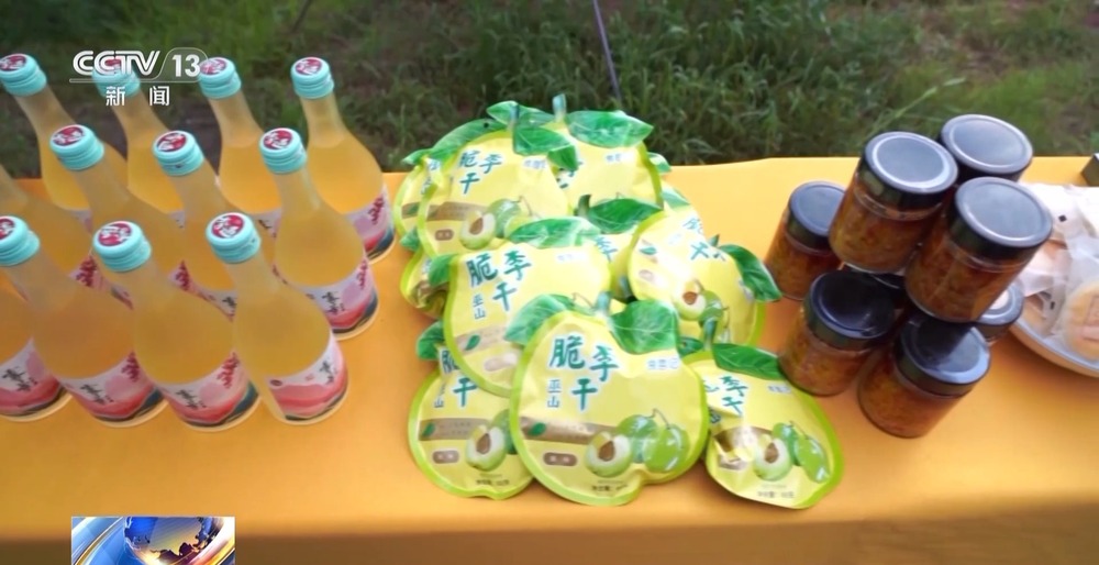 产业扶贫农产品卖难_巫山脆李种植管理技巧_重庆脆李产业链发展