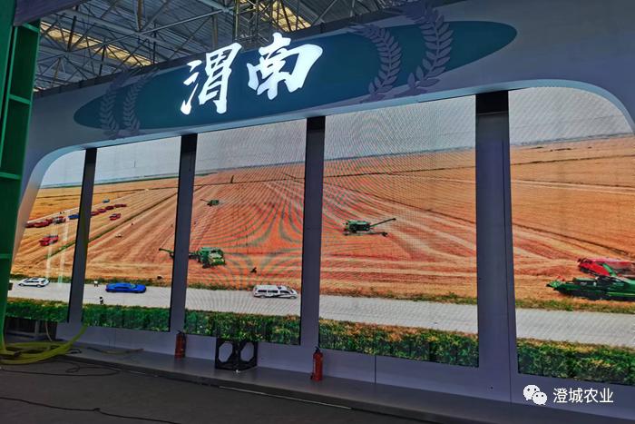 杨凌特色农产品苗木樱桃_杨凌农业科技展_中国杨凌农高会创新合作