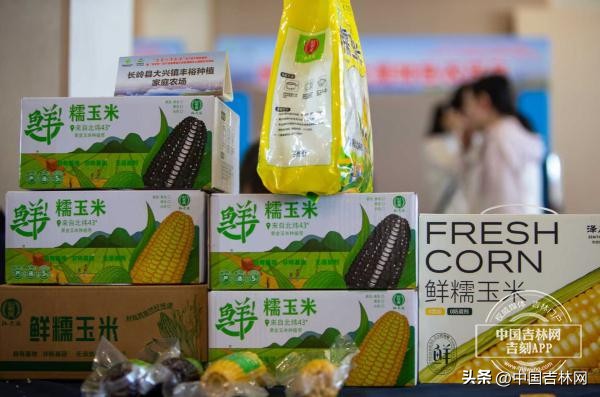 吉货入湾出海_吉粤供销合作_吉林省农产品电子商务成功案例
