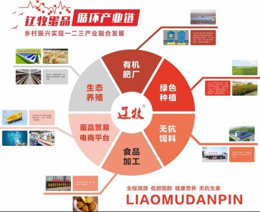 吉林省农产品电子商务成功案例_中国长春国际农业食品博览会 吉林供销特色农产品展销 _ 吉林预制菜产业推介会