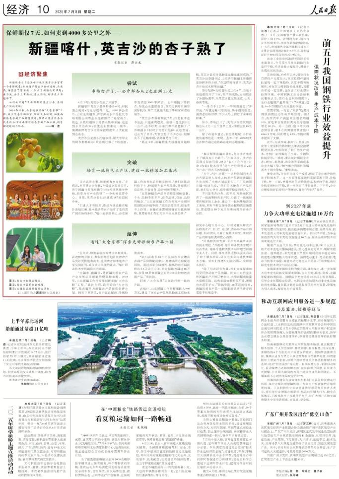 新疆农产品出疆解决方案_农产品物流设施设备_英吉沙杏冷链物流