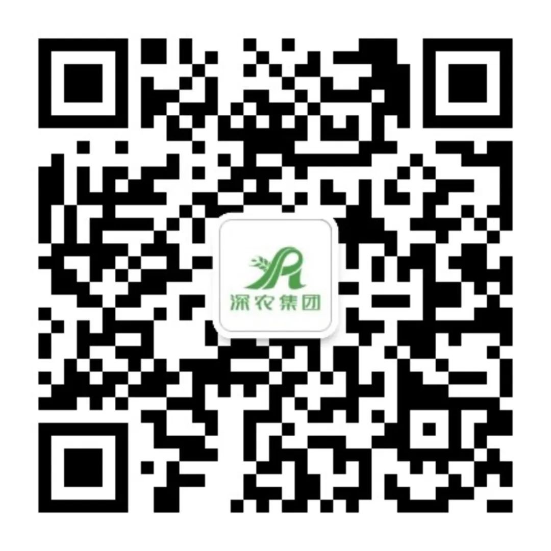深圳农产品批发市场发展历程_深农集团菜篮子保障_深圳布吉农产品中心批发市场