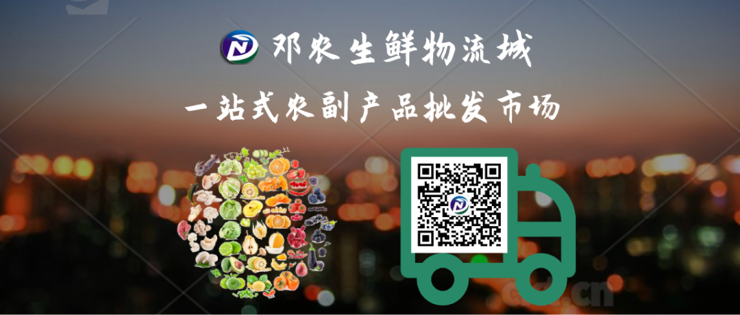 蔬菜批发凌晨交易原因_凌晨蔬菜批发市场_深圳布吉农产品中心批发市场