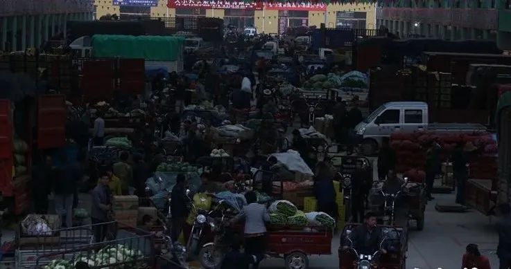 蔬菜批发凌晨交易原因_凌晨蔬菜批发市场_深圳布吉农产品中心批发市场
