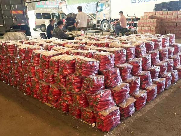 沈阳市菜篮子生产保供基地_沈阳农产品_蔬菜产量提升