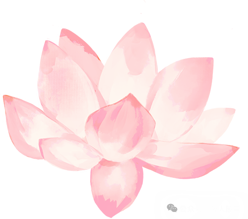 黄陂风华：深入实施学子聚汉工程，完善双创双带机制