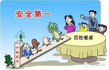 农产品检测机构_南海农产品检测中心_农产品质量安全科普
