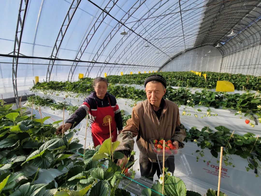 黑龙江乡村振兴一号文件解读_黑龙江农产品追溯平台_黑龙江粮食安全政策