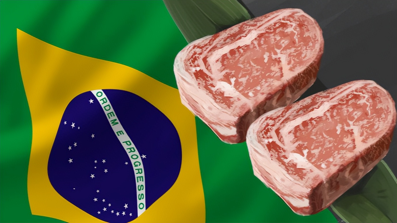 巴西大豆进口量_巴西出口的农产品_巴西农业超级大国