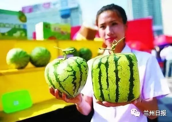 电商扶贫兰州市_特色农产品网络营销_兰州市特色农产品线上销售
