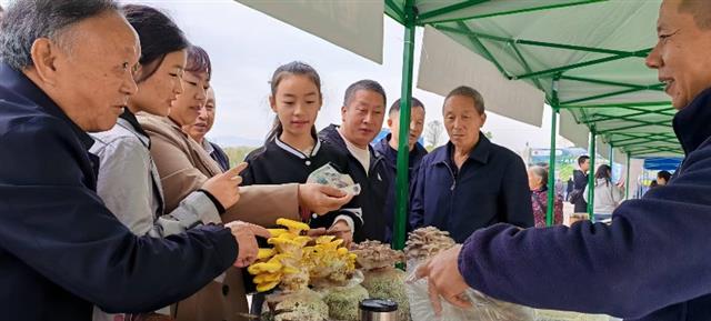 村级电商直播带货_农产品 滞销 数据_垫江电商服务中心